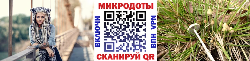 Галлюциногенные грибы MAGIC MUSHROOMS  Красноармейск 